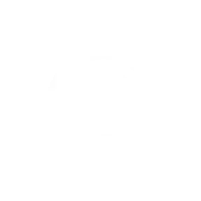  Meridian Polymers Mission 